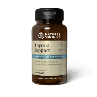 Thyroid Support