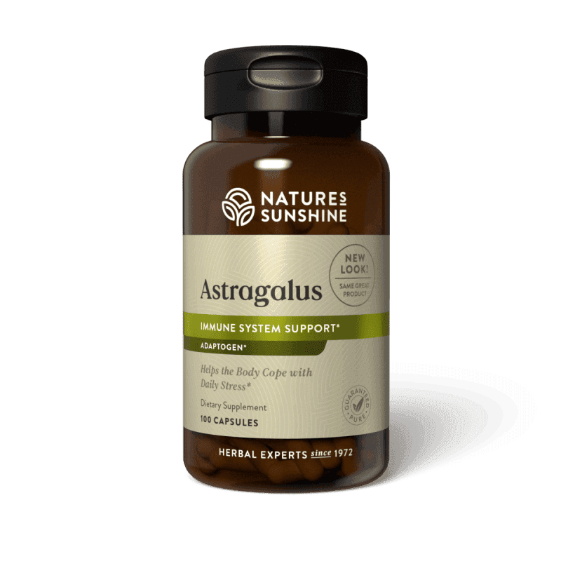 Astragalus
