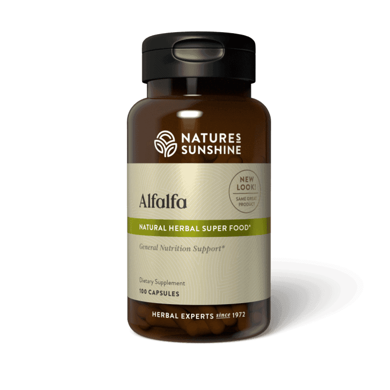 Alfalfa