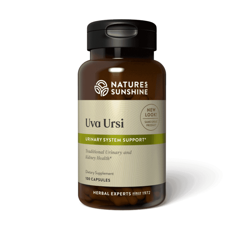 Uva Ursi