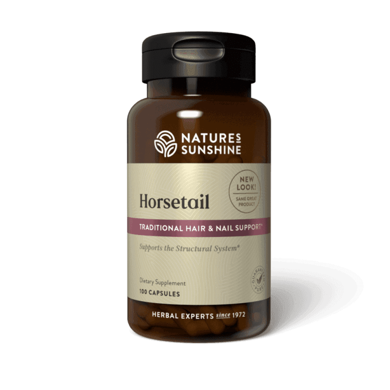 Horsetail