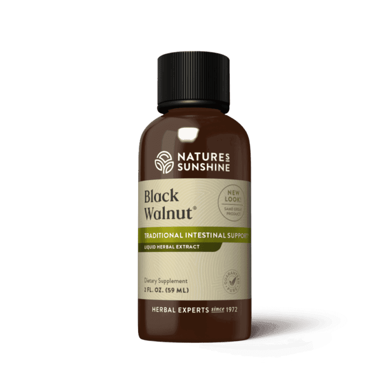 Black Walnut Extract
