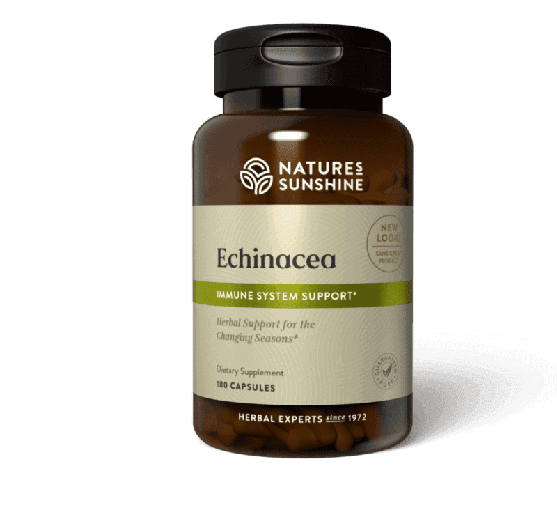 Echinacea (Purpurea)