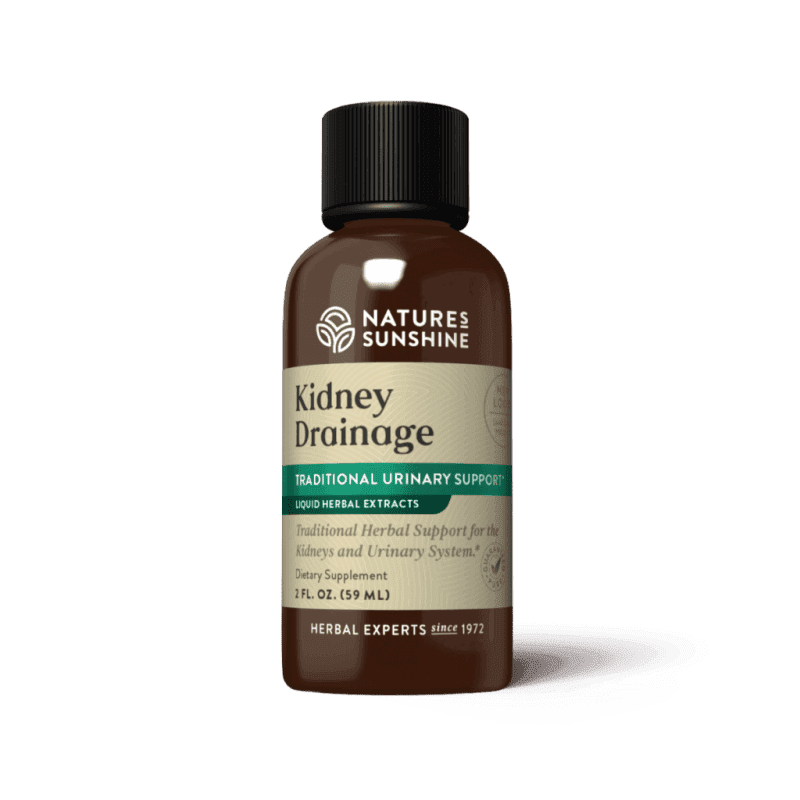 Kidney Drainage