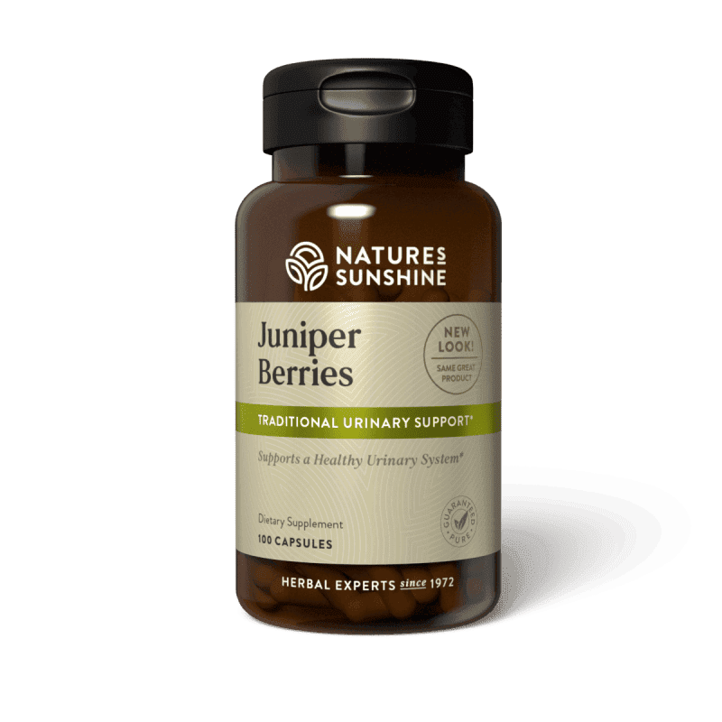 Juniper Berries