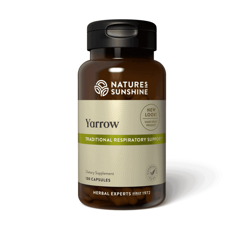 Yarrow