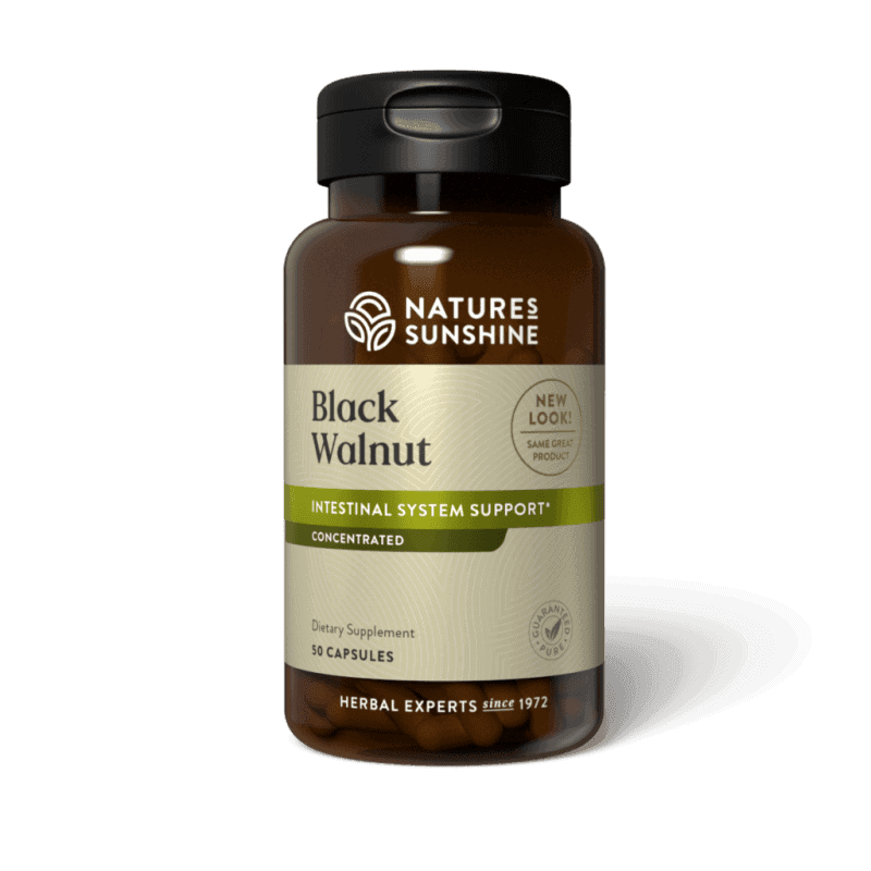 Black Walnut (ATC)