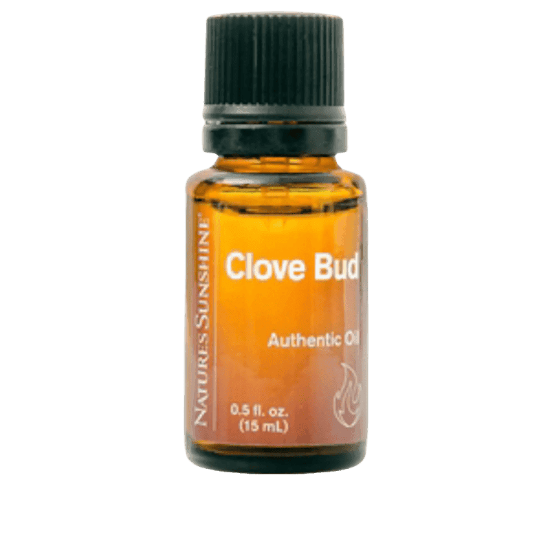 Clove Bud