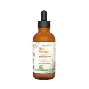 El sol de la naturaleza encuentra la fuerza