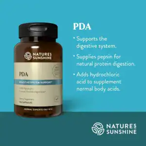 Combinación de PDAs
