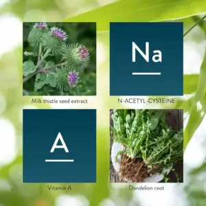 Combinación de cardo mariano