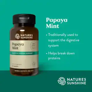 Papaya Mint