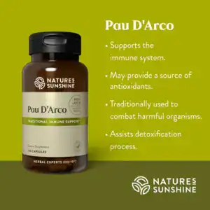 Pau D'Arco