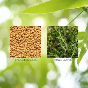 Fenugreek & Thyme