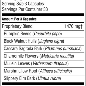Herbal Pumpkin