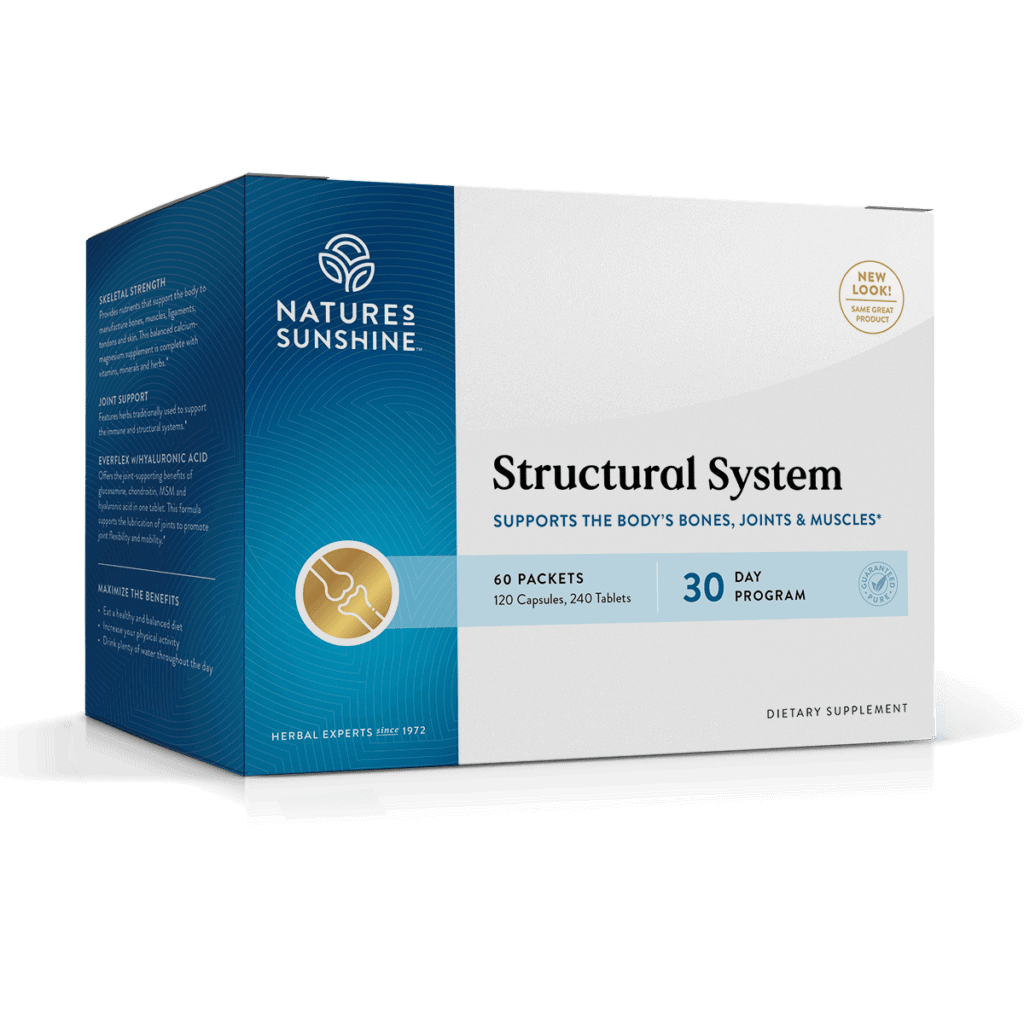 Structural System (30 Day Program)