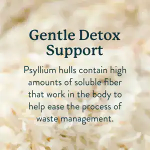 CleanStart Wild Berry